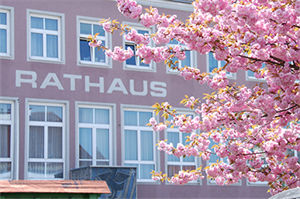 Foto für Organigramm der Stadtgemeinde Attnang-Puchheim - in Kraft ab Jänner 2020